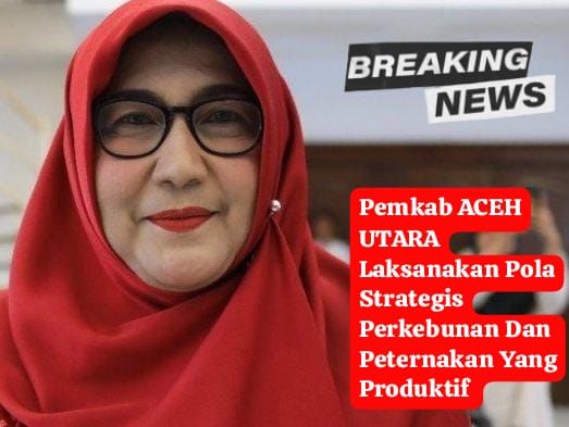 Pemkab ACEH UTARA Siapkan Rencana Strategis Perkebunan Dan PeternakanAceh&nbsp;Utara